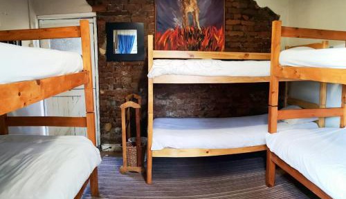 Bed in 6-Bed Mixed Dormitory Room