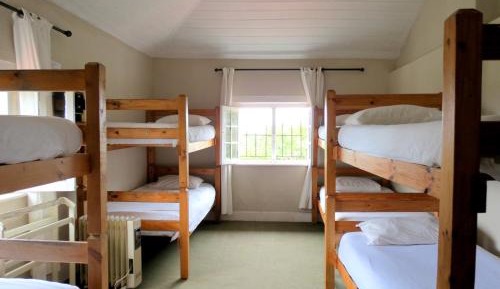 Bed in 8-Bed Mixed Dormitory Room