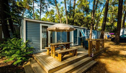 Cottage Cozy