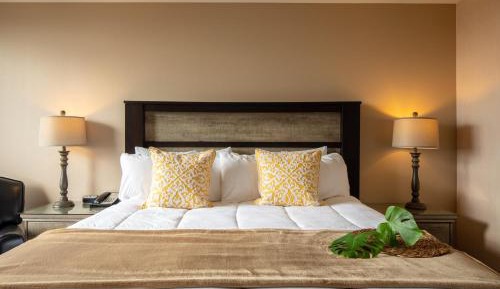 Standard King Room