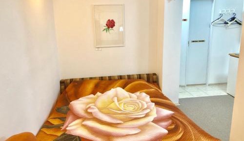  Economy Studio Apartment - Basement Level