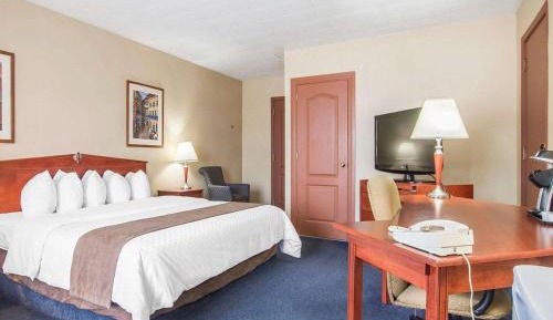 Standard King Room