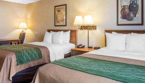 Queen Room with Two Queen Beds