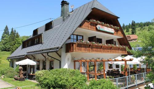 Studio Apartment for Two Adults with Terrace with views in the Green
