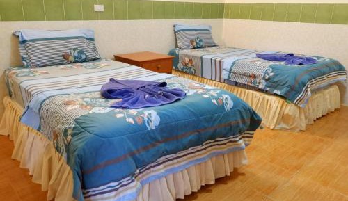Deluxe Double or Twin Room with Air-condition