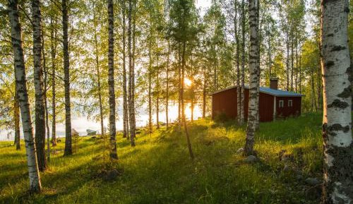 Two-Bedroom Cottage with Sauna