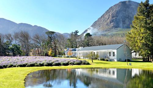 Luxury Suite with Lavender View