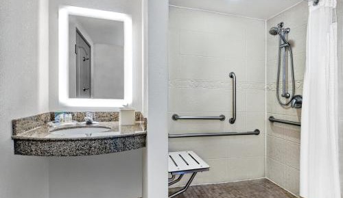 Standard King Room with Mobility Accessible Roll-In Shower