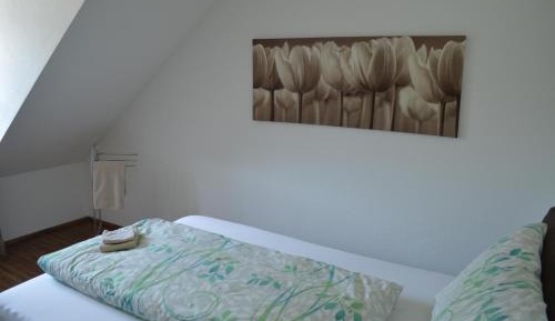 Single Room with Shared Bathroom
