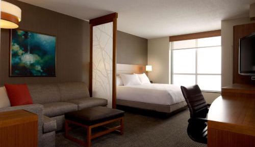 One-Bedroom King Suite with Sofa Bed