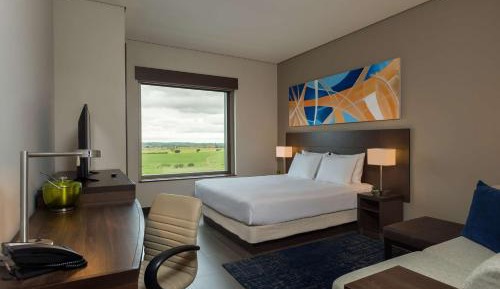King Room with View