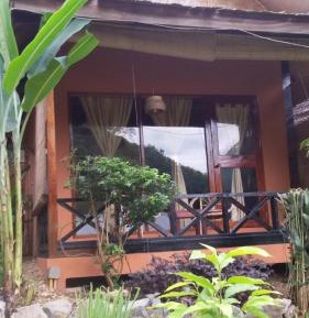 Deluxe Double or Twin Room with River View