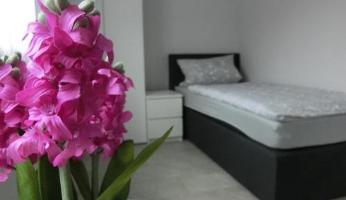 Single Room with Shared Bathroom