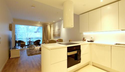 Deluxe Apartment