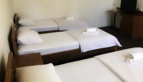 Economy Triple Room