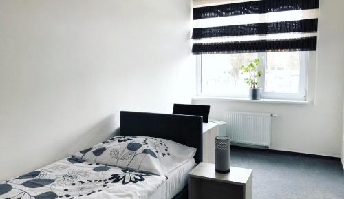 Comfort Single Room