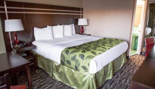 Standard Queen Room