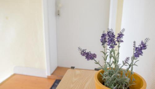 Two Bedroom Apartment 