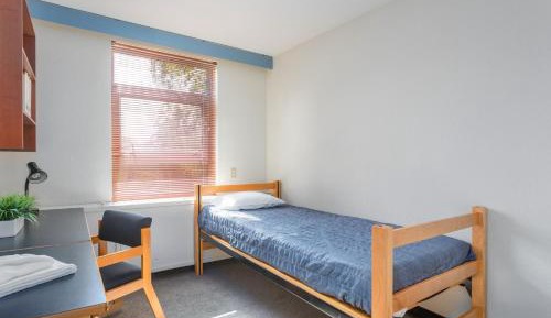 Budget Single Room