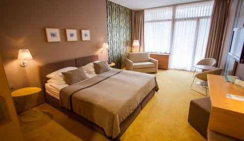 Double Room with Balcony and Mountain View