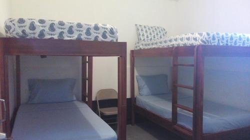 Bed in 4-Bed Mixed Dormitory Room