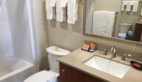 Deluxe Queen Suite