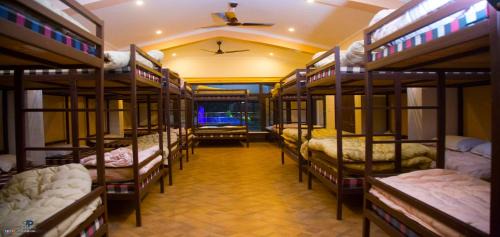 Bunk Bed in Mixed Dormitory Room