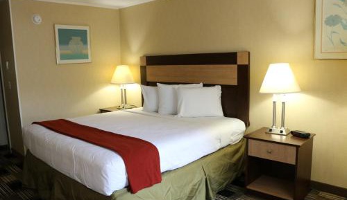 King Room with Mountain View