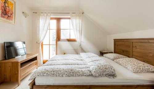 Double or Twin Room with View