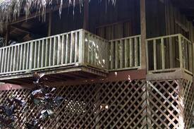 Platanillo Cabin | Las Orquídeas 2