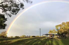 Napoleons Cabin | Mountain View Cottage (close to Ballarat)
