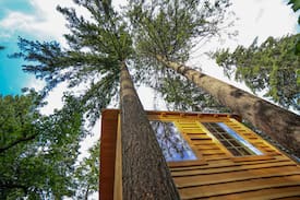 Peshastin Cabin | * Hansel Creek Gust Tree House * On 150 Acres
