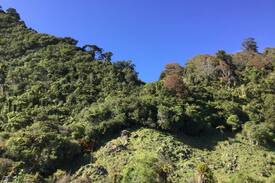 Little Wanganui House | Glasseye Getaway