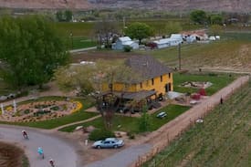 Palisade House | Fabulous Farmhouse-LARGE HOUSE-perfect for groups!