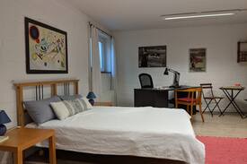 Wuelfrath House | Basement, large room