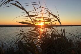 Grand Chenier House | Louisiana Rockefeller Refuge - Creole Nature Trail