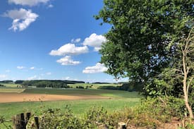 Loonbeek Other | Cowcooning Glamping