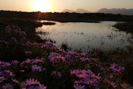 Fisherhaven House | Cabin near Hermanus - 92 Fisant, Meerenbosch