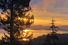Salt Spring Island Apartment | OceanView GetAway - Eagles Nest Suite