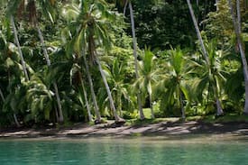 Quebrada La Gamba Villa | Monkeys n Mangos Beach Jungle Casa Osa Peninsula