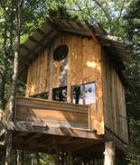 Bethlehem Other | Treehaus