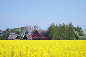Viken House | Vikens Bed And Breakfast