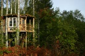 Vastra Amtervik Other | Bluesberry Woods Treehouse
