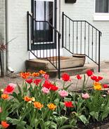 Madison House | The PLASS PLACE in the historic district.