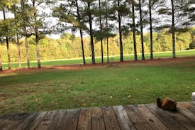 Holly Bluff House | Hunting Camp Cabin- Delta National Forest
