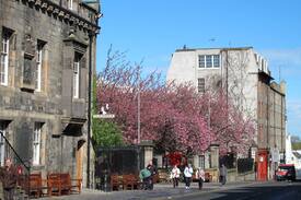 Old Town Apartment | The Secret Garden Apartment on Historic Royal Mile