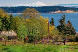Port Hadlock Cabin | Hillside Raven Haven - Artist Retreat with Views