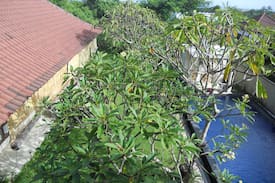 Ungasan House | Umah Tulip