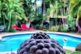 Tamarindo Hotel | Bonga House Dorms