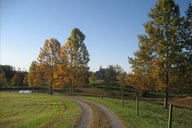 Mount Airy Cabin | Whippoorwill Cabin